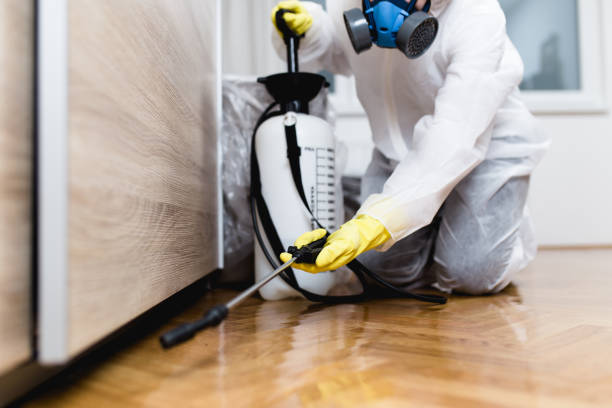 Flea Control Services in Wolf Lake, MI