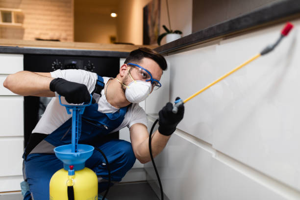 Best Affordable Pest Control Services  in Wolf Lake, MI