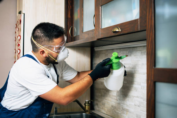 Best Exterminator Services  in Wolf Lake, MI