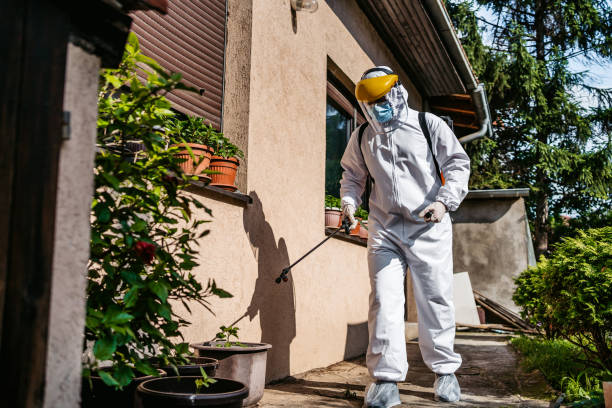 Best Pest Control Near Me  in Wolf Lake, MI