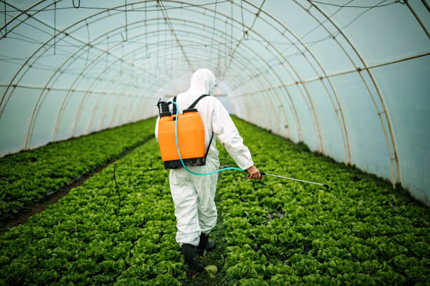 Best Commercial Pest Control Services  in Wolf Lake, MI