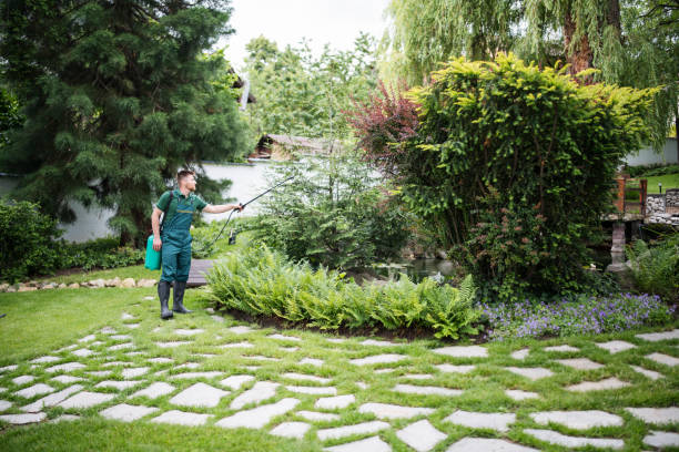 Best Insect Control  in Wolf Lake, MI