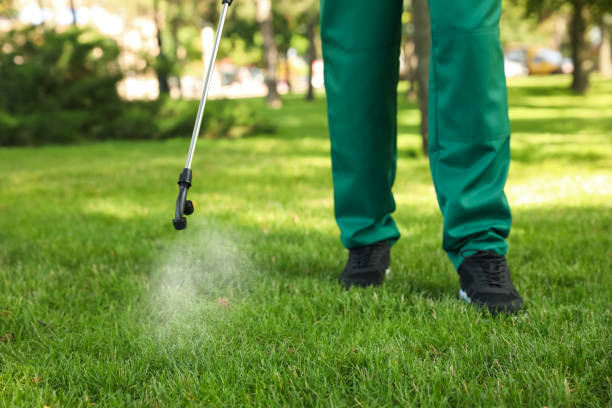 Best Pest Control for Restaurants  in Wolf Lake, MI