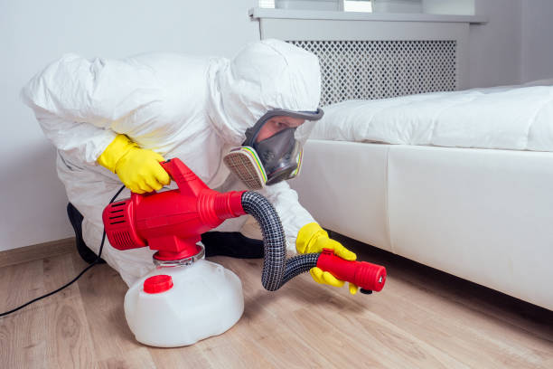 Best Rat Extermination Near Me  in Wolf Lake, MI