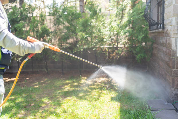 Best Ant Control Services  in Wolf Lake, MI