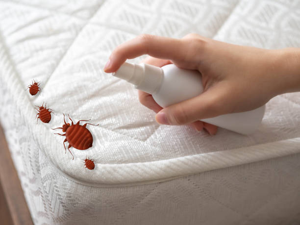 Best Wasp Removal Services  in Wolf Lake, MI