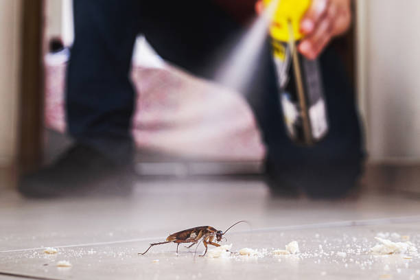 Best Wildlife Control Services  in Wolf Lake, MI